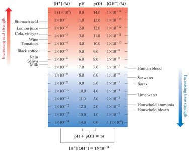 pH, pOH, [H+], and [OH-] scale with common substances