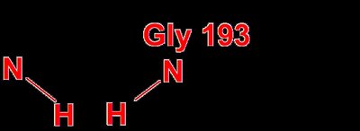 Oxyanion hole and transition state stabilization
