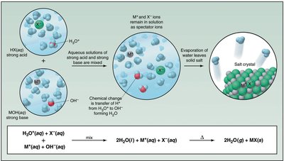 Molecular view of acid-base neutralization