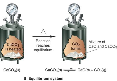 Equilibrium system with CaCO3