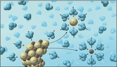 Dissolution of an ionic compound and hydration of ions
