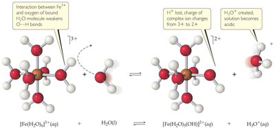 Fe3+ hydrated complex showing interaction with water