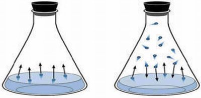 Phase equilibrium between liquid and vapor