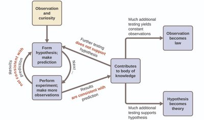 Flowchart of the scientific method