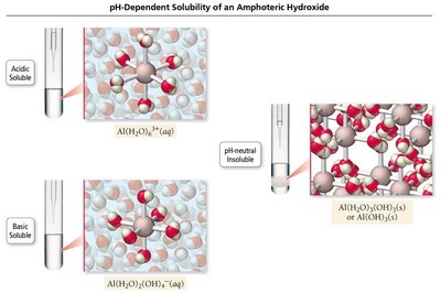pH-dependent solubility of amphoteric hydroxide