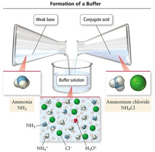 Formation of a buffer from ammonia and ammonium chloride
