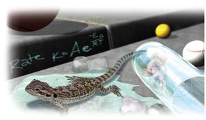 Lizard and Arrhenius equation illustrating temperature effect on reaction rate