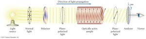 Polarimetry setup for continuous monitoring
