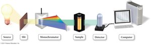 Spectrophotometry setup for continuous monitoring