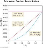 Rate vs. reactant concentration for different orders