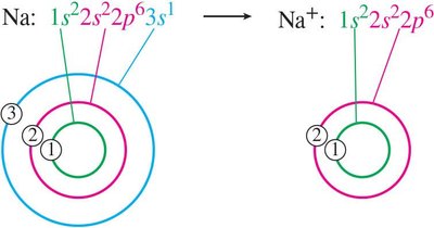 Radius change when forming anions