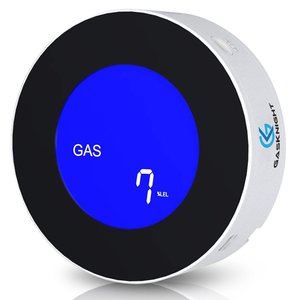 Natural gas detector