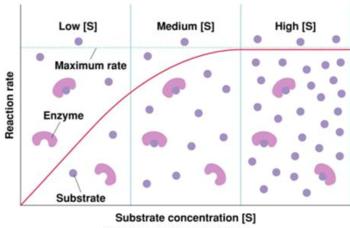 Rate laws for zero, first, and second order reactions