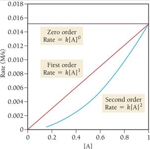 Integrated rate laws: concentration vs time