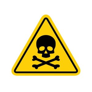 Ethanol metabolism pathway in the liver
