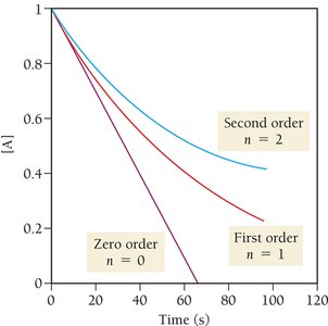 First order decay: concentration vs time and half-lives