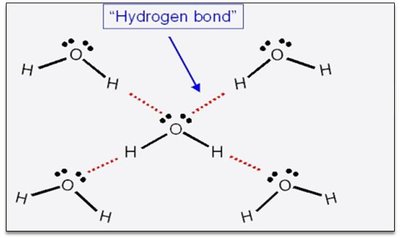 Hydrogen Bonding in Water (Lewis Structure)