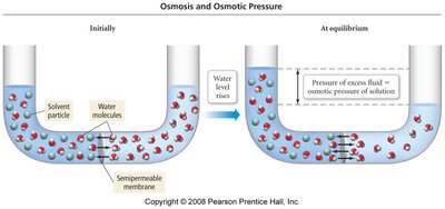 Diagram of osmosis and osmotic pressure