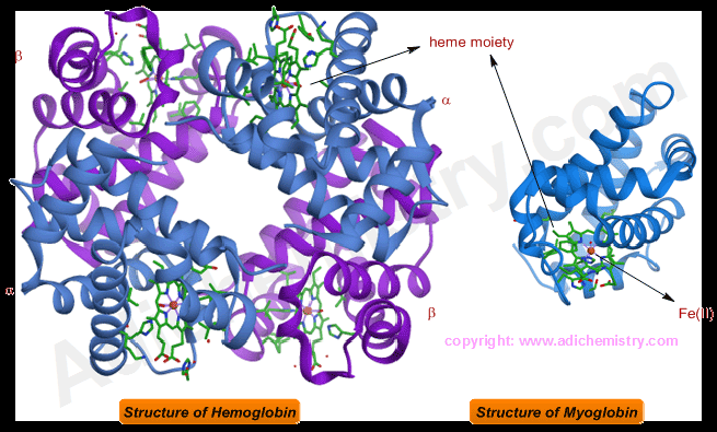 Classification of elements and compounds