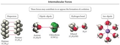 Types of intermolecular forces