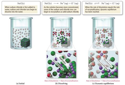 Solution equilibrium and saturation