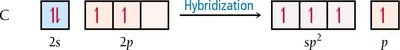 Hybridization in H2CO