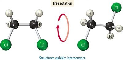 Single bond allows rotation