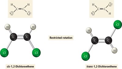 Double bond restricts rotation