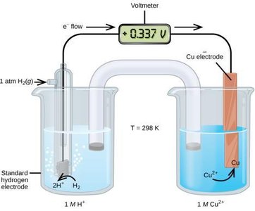 Measurement of cell potential using a standard hydrogen electrode and a copper electrode