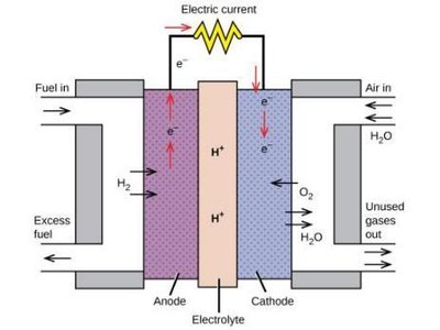 Diagram of a hydrogen fuel cell