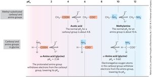 Comparison of pKa values in different chemical environments