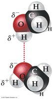 Hydrogen bonding in methanol