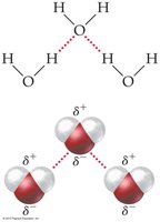 Hydrogen bonding in water