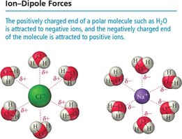 Ion-dipole interactions between water and ions