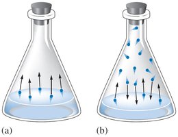 Equilibrium vapor pressure