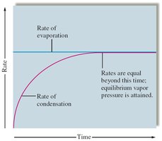 Equilibrium vapor pressure