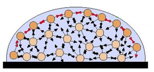 Surface tension: molecular diagram