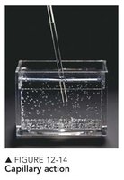 Capillary action in a tube