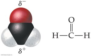 Polar molecule with dipole moment