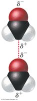 Dipole-dipole interaction between two molecules
