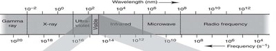 Electromagnetic spectrum