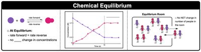 Diagram showing chemical equilibrium as a dynamic process with rates and concentration vs. time graph