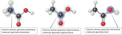 Bond dipoles in H2O and CO2