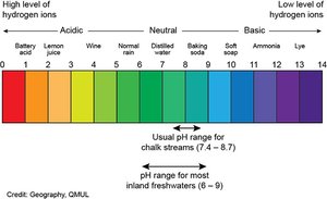 pH scale with examples and environmental ranges