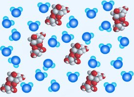 Molecular view of sugar molecules dissolving in water