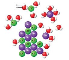 Ionic compound dissociating in water