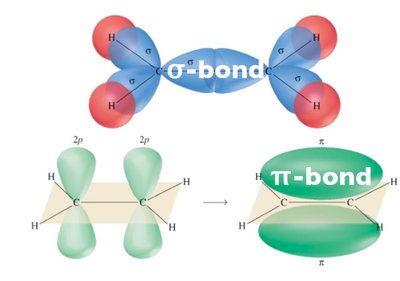 Sigma and pi bond formation