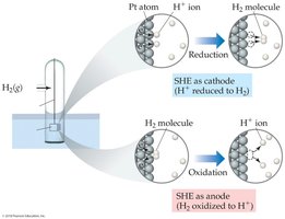 Standard hydrogen electrode (SHE) diagram showing reduction and oxidation