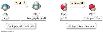 Conjugate acid-base pairs