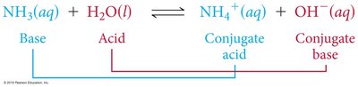 Conjugate pairs in reaction